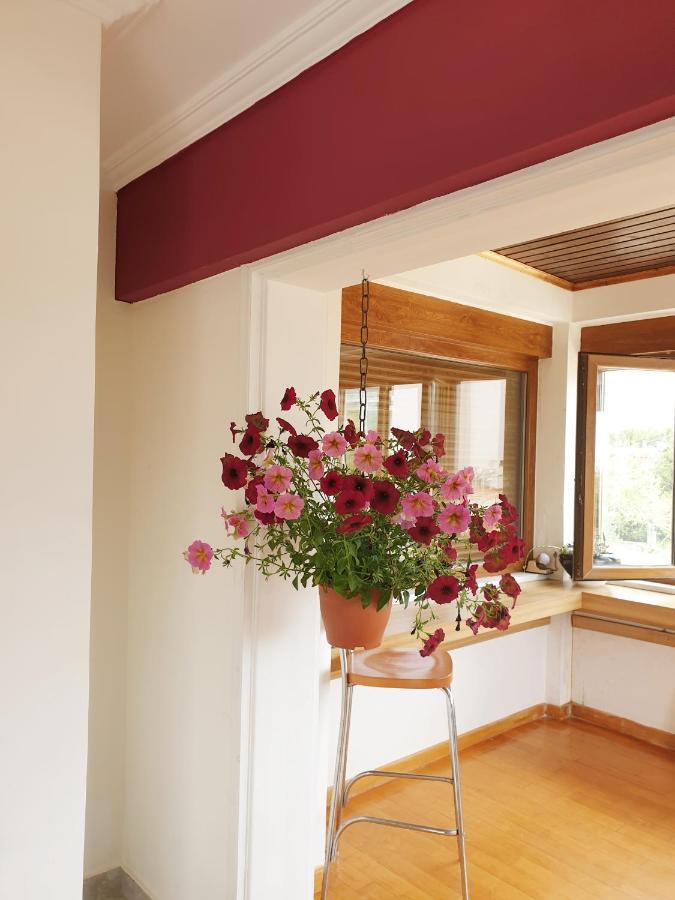 Villa Apex With Seaview ลาโกนิสซี ภายนอก รูปภาพ